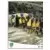 Equipe (puzzle 1) - AC Arles-Avignon
