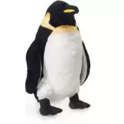 Emperor Penguin