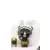 Lol Surprise Remix Pets - RM-005 SOLO SKUNK