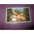 Sticker n°22