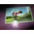 Sticker n°44