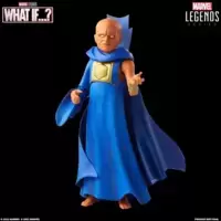 Marvel's The Watcher (Build a Figure)