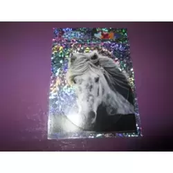 Image n°1