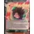 Destroyer Kings [BT6] - Broly, Origines de la Démence