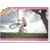 Stars - Christophe Cocard