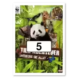 Image n°5