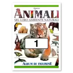 Image n°1