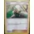 Académie de Combat - Deck MewTwo - Scout