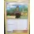 Académie de Combat - Deck MewTwo - Tili