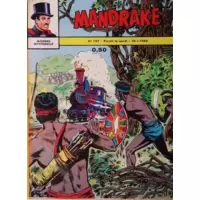 Mandrake dans le désert