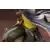 Kotobukiya Anime / Manga - God Eater - Soma Schicksal - ARTFX J