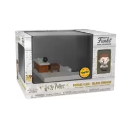 Harry Potter - Potions Class Seamus Finnigan Chase