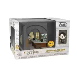 Harry Potter - Potions Class Tom Riddle Chase
