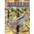 Biggles - L\'Oasis perdue 1