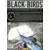 Black Birds - Dans la gueule du loup