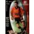 Wizards Football Champions France 2001/2002 - Julien Escudé - Stade Rennais