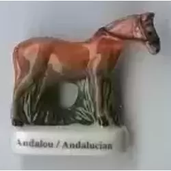 Andalou/ Andalucian