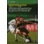 Wizards Football Champions France 2001/2002 - Contre-pied