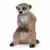 Wild Life - Rendez-vous des suricates