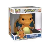 Pokemon - Charizard 10