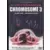 Chromosome 3