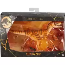 Velociraptor