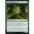 Aventures dans les royaumes oubliés (Dungeons & Dragons Forgotten Realms) - Dryade de Padhiver