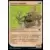 Aventures dans les royaumes oubliés (Dungeons & Dragons Forgotten Realms) - Enlaceur sournois