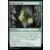 Aventures dans les royaumes oubliés (Dungeons & Dragons Forgotten Realms) - Forme sauvage