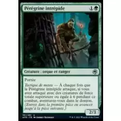 Pérégrine intrépide