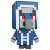 Iceologer