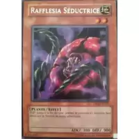 Rafflesia Séductrice