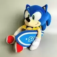 Joypolis - Surfer Sonic