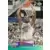 David Robinson