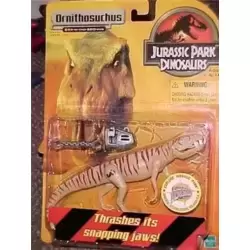 Ornithosuchus