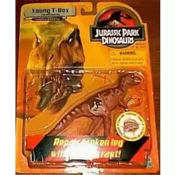 Young T-Rex
