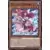 Mega Pack 2021 MP21 - Pascalus Marincesse