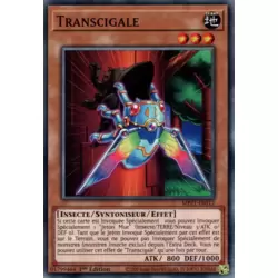 Transcigale