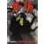 Coq de combat - Tome 9