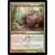 Insurrection - Cochon de Zhur-Taa