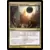 Expulsion impitoyable