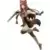 Pop Up Parade - The Rising of the Shield Hero - Raphtalia