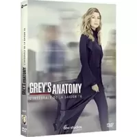 Grey's Anatomy - Saison 16