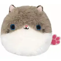 Ragdoll