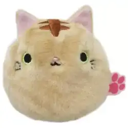Tora