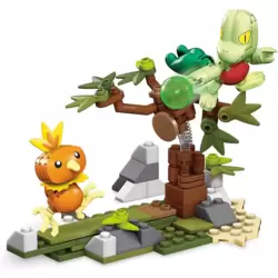 Torchic VS Treecko