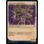 Aventures dans les royaumes oubliés (Dungeons & Dragons Forgotten Realms) - Squelettes cliquetants