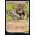 Aventures dans les royaumes oubliés (Dungeons & Dragons Forgotten Realms) - Ours-hibou
