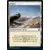 Aventures dans les royaumes oubliés (Dungeons & Dragons Forgotten Realms) - Plaine