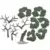 Wild Life - Acacia tortilis